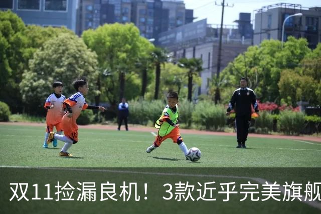 双11捡漏良机！3款近乎完美旗舰，国补降价性价比拉满